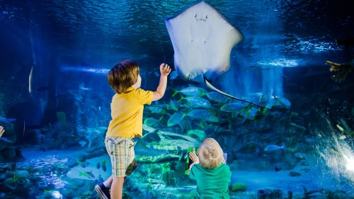 Belles réductions sur une sélection d'activités à Londres