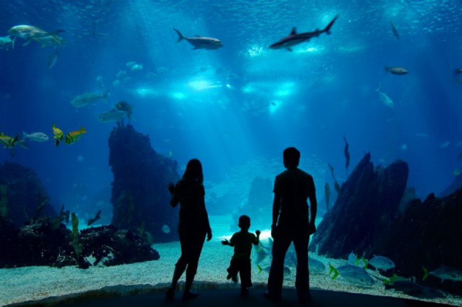 Belles réductions sur une sélection d'activités à Londres