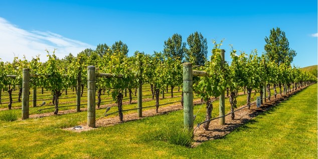Nouvelle Zélande: 9j/8n pour découvrir les trésors de l'Ile du Nord, vol inclus