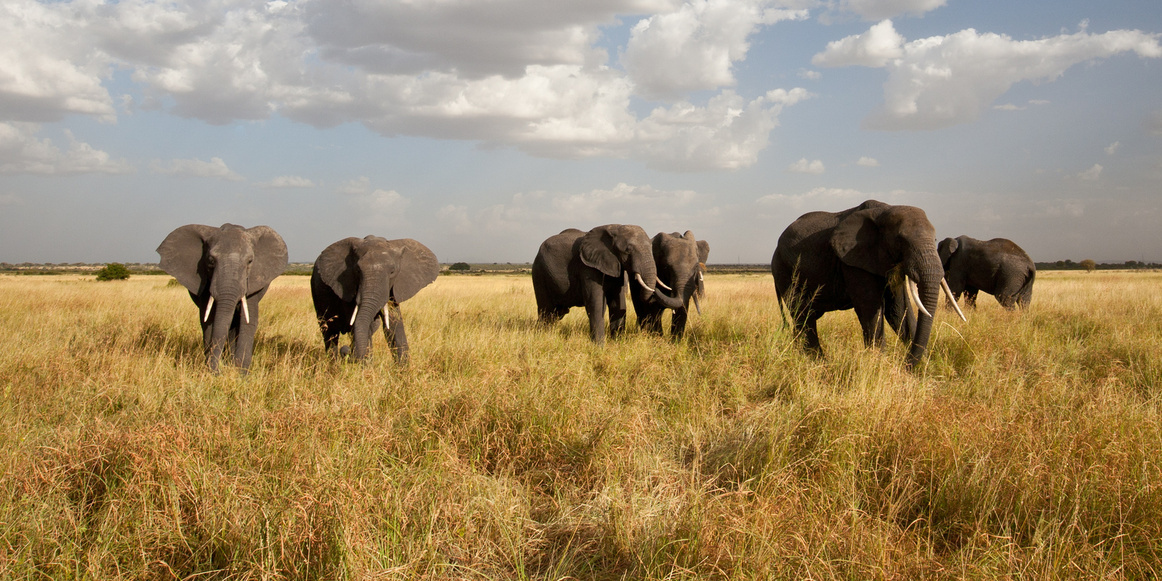 Afrique du Sud super circuit découverte! Une semaine à partir de1690€