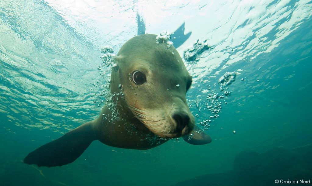 Bon plan Explorer l'aquarium de Nausicaa – Centre National de la Mer! Pour la famille -16%