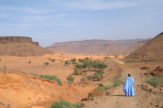 Circuit Mauritanie: découvrez Chinguetti et les dunes de l'erg Ouarane