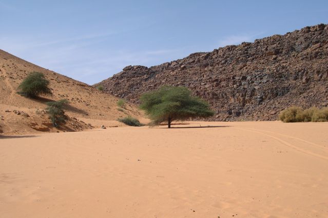 Circuit Mauritanie: découvrez Chinguetti et les dunes de l'erg Ouarane