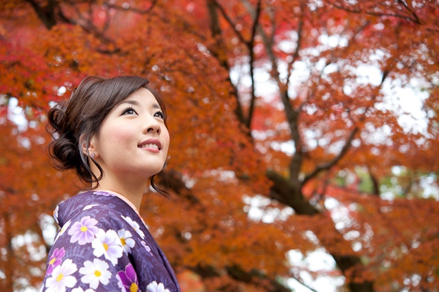 Bon plan Circuit Vision du Japon: 9j/6n hôtel+restauration+vols A/R inclus