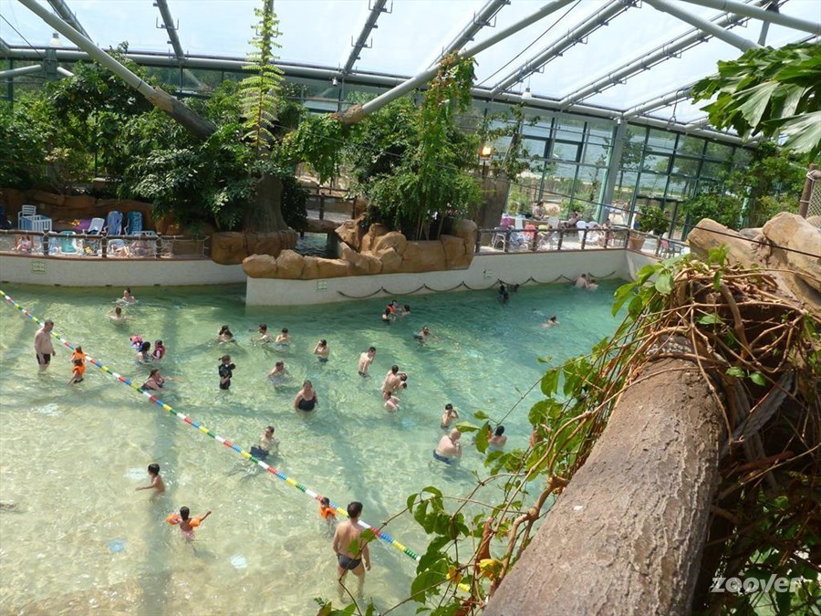 Promo Center Parcs 4j/3n au domaine le Lac d