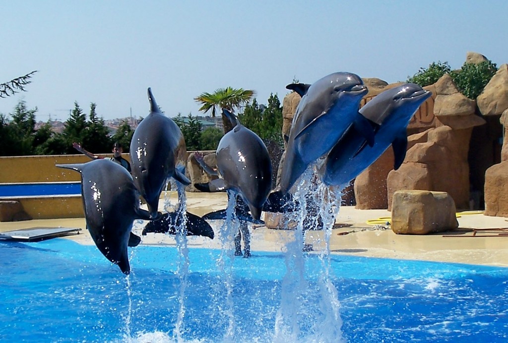 Hôtel Marineland Resort 3* avec accès au parc Marineland