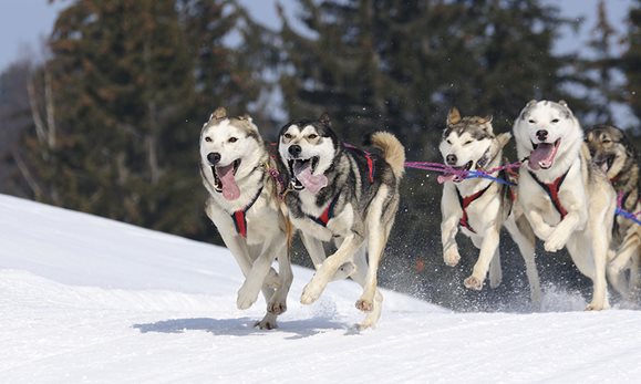 Envolez-vous vers Canada à partir de Paris dès 369€ TTC aller-retour