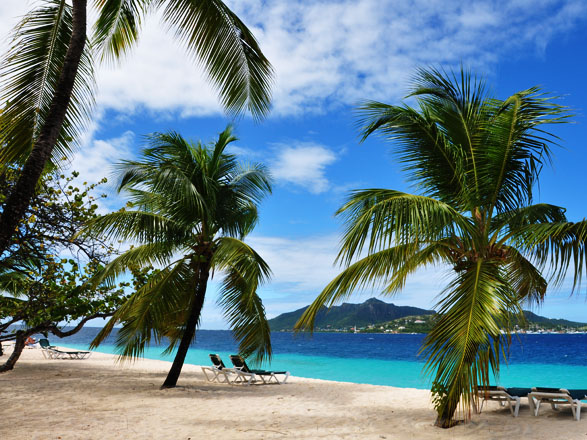 Super promo croisière Tour du Monde en 30 jours à partir de 4999€/pers