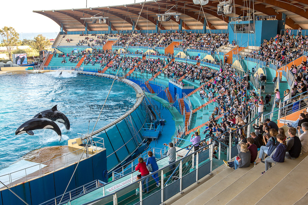Hôtel Marineland Resort 3* avec accès au parc Marineland