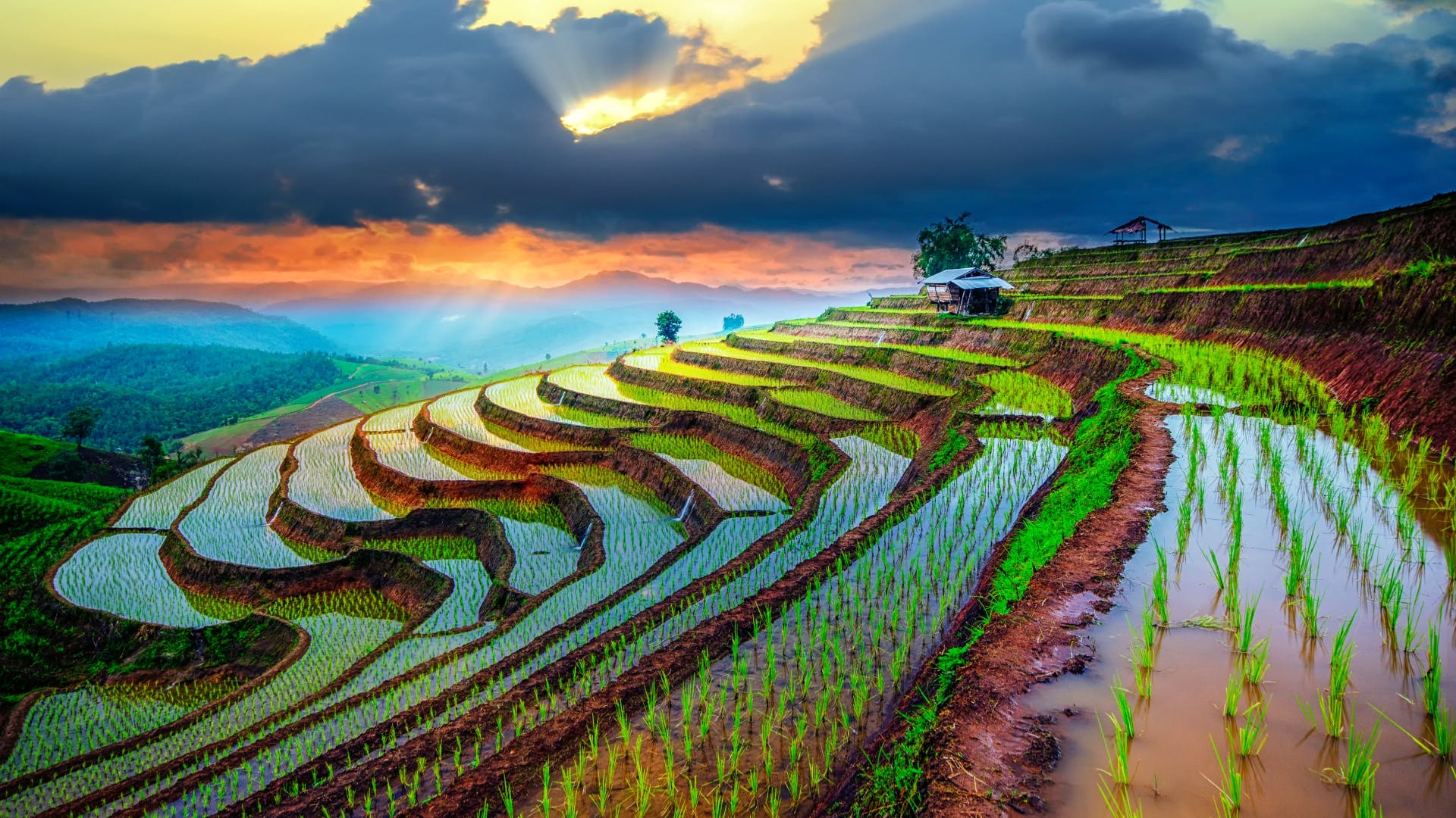 Vietnam: circuit découverte 18 nuits avec hôtel, billets de train et de bus, transferts et vols A/R inclus