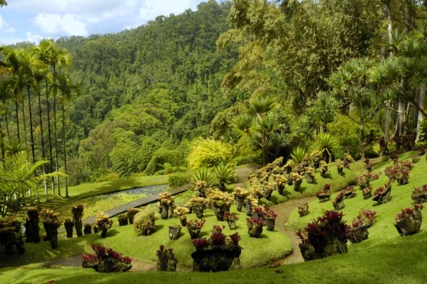 Croisière Grenadines + séjours à Union et Ste Lucie  16J/14N, vols + transferts + catamaran + hôtel + repas