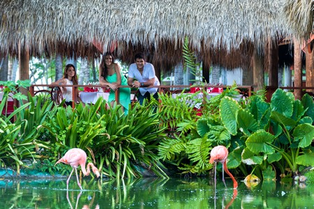 République Dominicaine - Bavaro: 9j/7n en Hôtel 4*, tout compris