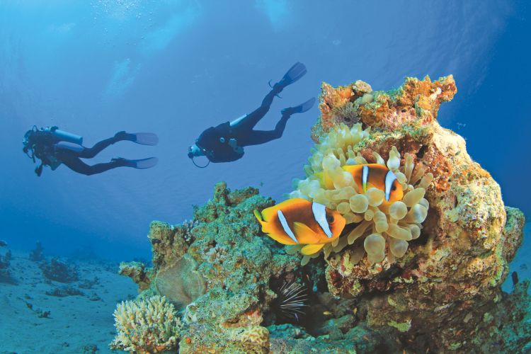 Egypte, Marsa Alam : 8j/7n en hôtel 4*, vols A/R + transferts + All-in pour 2 adultes