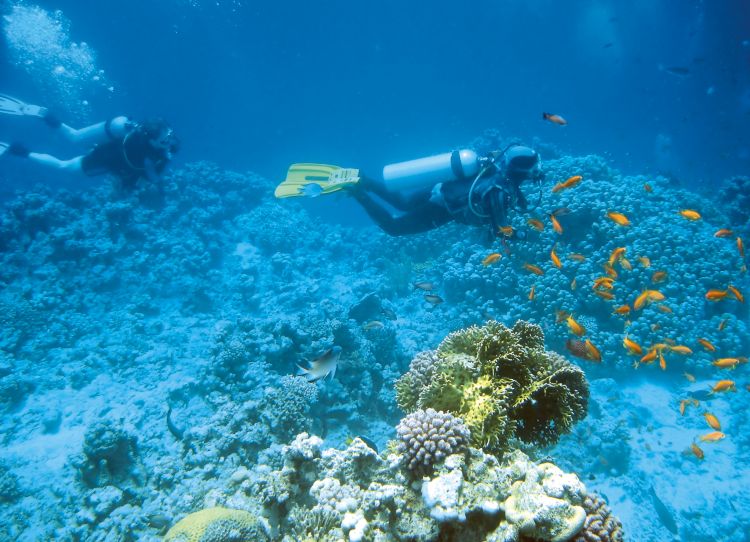 Egypte, Marsa Alam : 8j/7n en hôtel 4*, vols A/R + transferts + All-in pour 2 adultes